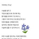 수술을 앞둔 환우를 위한기도 이미지