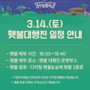 2026 제주들불축제 새별오름 실시간 후기: 먹거리 장터 바가지? 도민이 본 체감 물가 &amp; 꿀팁 총정리