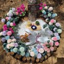 펫밀리펜션 이미지