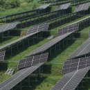 해성 태양광발전소 이미지