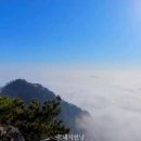 계룡산한의원 이미지