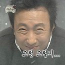 스테이더나잇