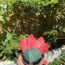 최강단대 태권도장 이미지