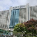 아기랑 비발디파크 C동 취사 객실 후기 – 36개월 아기와 급 떠난 금요일 가족 여행