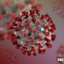 학장성심요양병원 이미지