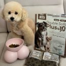 플러스소프트 | 기호성 좋은 강아지사료 펫라벨 더블소프트 플러스 텐 후기