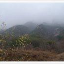 김 풍오님의 금수산 산행및 제천 여행기 이미지