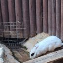 산토끼노래동산 이미지