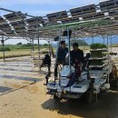 태양축산 이미지