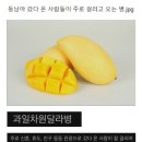 그린카파 | 7박 9일 튀르키예 _ 카파도키아편🎈