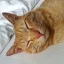 이쁜이PC 이미지