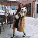 어울림광장 어울림카페 이미지