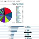 세계 성형순위 자료 일본4위 한국 15위 이미지