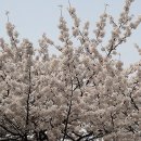 한세상 이미지