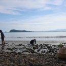 마당민박 이미지