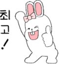 올포카 이미지