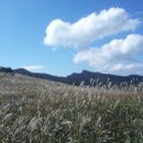 찬영축산 Daum카페