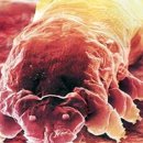 바른이야기 - 진주시 충의로 20-17 | 바른이야기