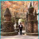 금빛나는 금요일 만드세요. 이미지