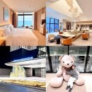 삼척봉황현대서비스(주) | 강릉 호텔 추천 신라모노그램 강릉 신축 호텔 호캉스