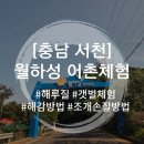 [충남 서천] 아이와 다녀온 서천 월하성 어촌체험마을 갯벌체험(feat. 물때 보는 법, 조개 해감 및 보관...