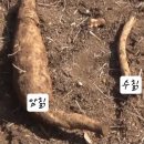 흙속의진주 - 마포구 성지길 25-11 | 흙속의진주