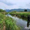 충북 보은 적암천서 여성 시신 발견…경찰 수사 중 이미지