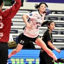 삼척시청 이미지