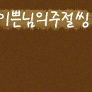 나모가