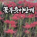 광주광역시북구청소년수련관 이미지