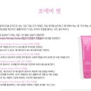 비타민포에버 이미지