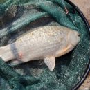 OK낚시터 이미지