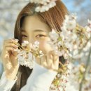 꽃달술 텐아시아