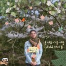 다시봄 이미지