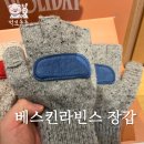 제2한수교 ~ 마상사거리 | 베스킨라빈스 장갑 : 핑거리스글러브 / 컵 사이즈 가격 및 정보