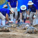 거북연합의원 이미지