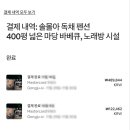 솔몰아 펜션/민박 이미지