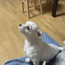 네일누아(NAIL NUA) 이미지