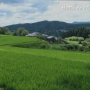 대양공인중개사사무소 이미지