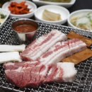 사또네
