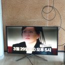 안테나농장 이미지