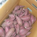 조엄농장 이미지