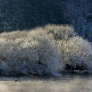 그리움한잔 이미지