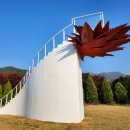 내장산 단풍생태공원 이미지