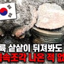 유럽대륙 샅샅이 훑어도 찾을 수 없는 보물, 한반도에만 존재했다. 이미지