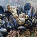 밴쿠버모텔 이미지