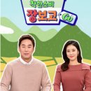 섬마을바다풍경 이미지
