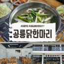 공릉닭한마리 | 필리핀 보홀 신상 맛집 공릉닭한마리 솔직 후기