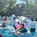 황산공원 캠핑장 3번 이미지