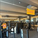 고릴라GYM 이미지